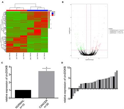 Circular RNA DGKB Promotes the Progression of Neuroblastoma by Targeting miR-873/GLI1 Axis